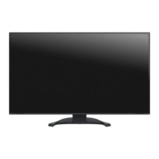 EIZO FlexScan 31.5" Monitor