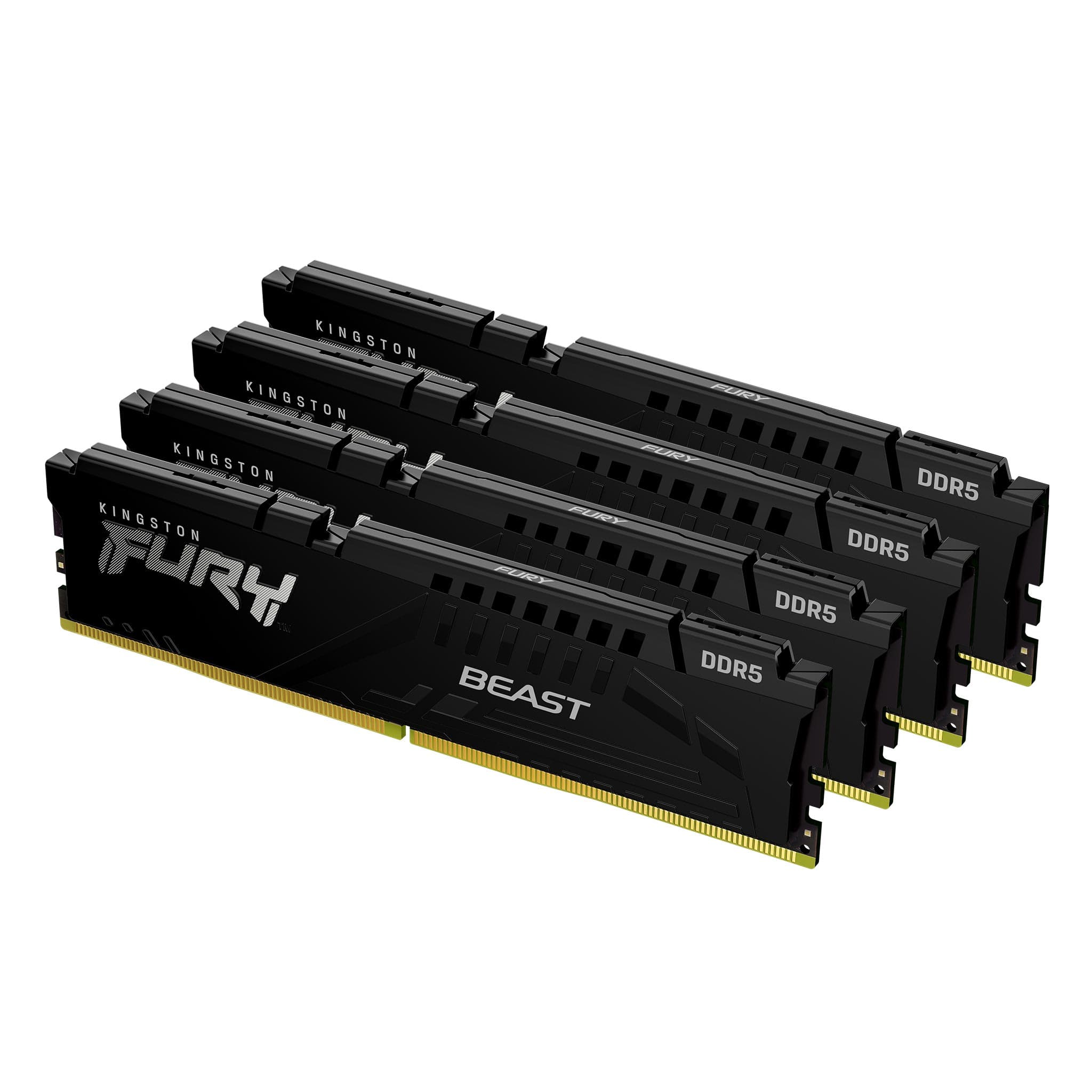 Kingston FURY Beast 4 GB
