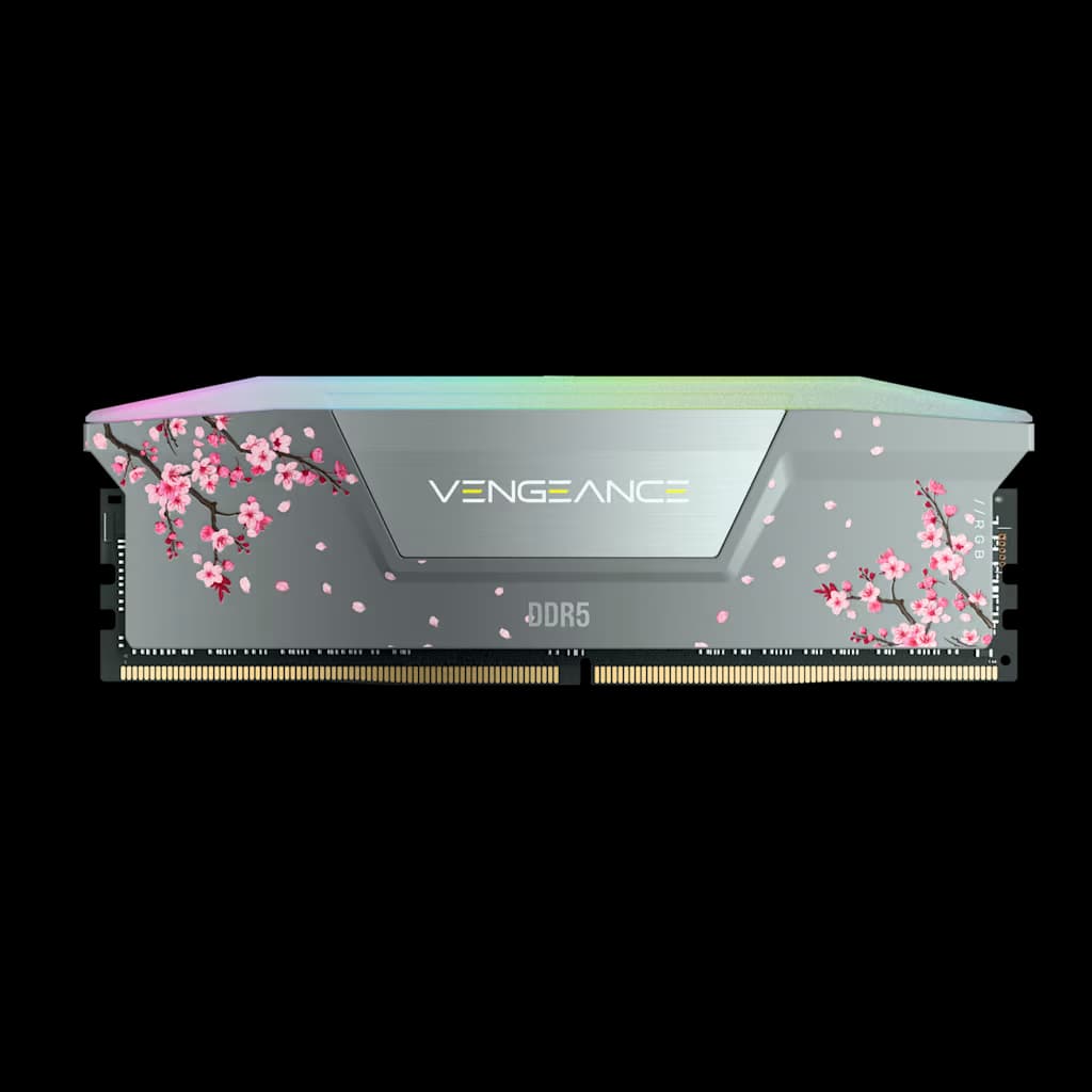 Corsair VENGEANCE RGB 32GB (2 x 16GB) DDR5 DRAM Up To 6000MT/s CL38 AMD EXPO & Intel XMP Memory Kit Cherry Blossom Gray