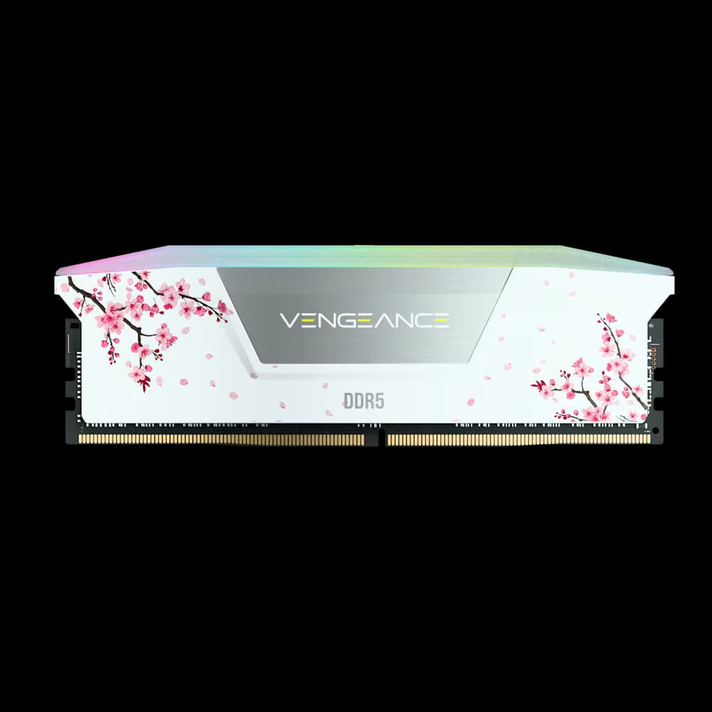 Corsair VENGEANCE RGB 32GB (2 x 16GB) DDR5 DRAM Up To 6000MT/s CL38 AMD EXPO & Intel XMP Memory Kit Cherry Blossom White