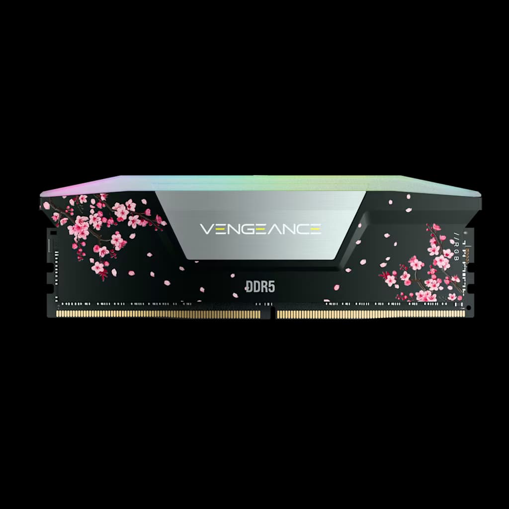 Corsair VENGEANCE RGB 32GB (2 x 16GB) DDR5 DRAM Up To 6000MT/s CL38 Intel XMP Memory Kit Cherry Blossom Black